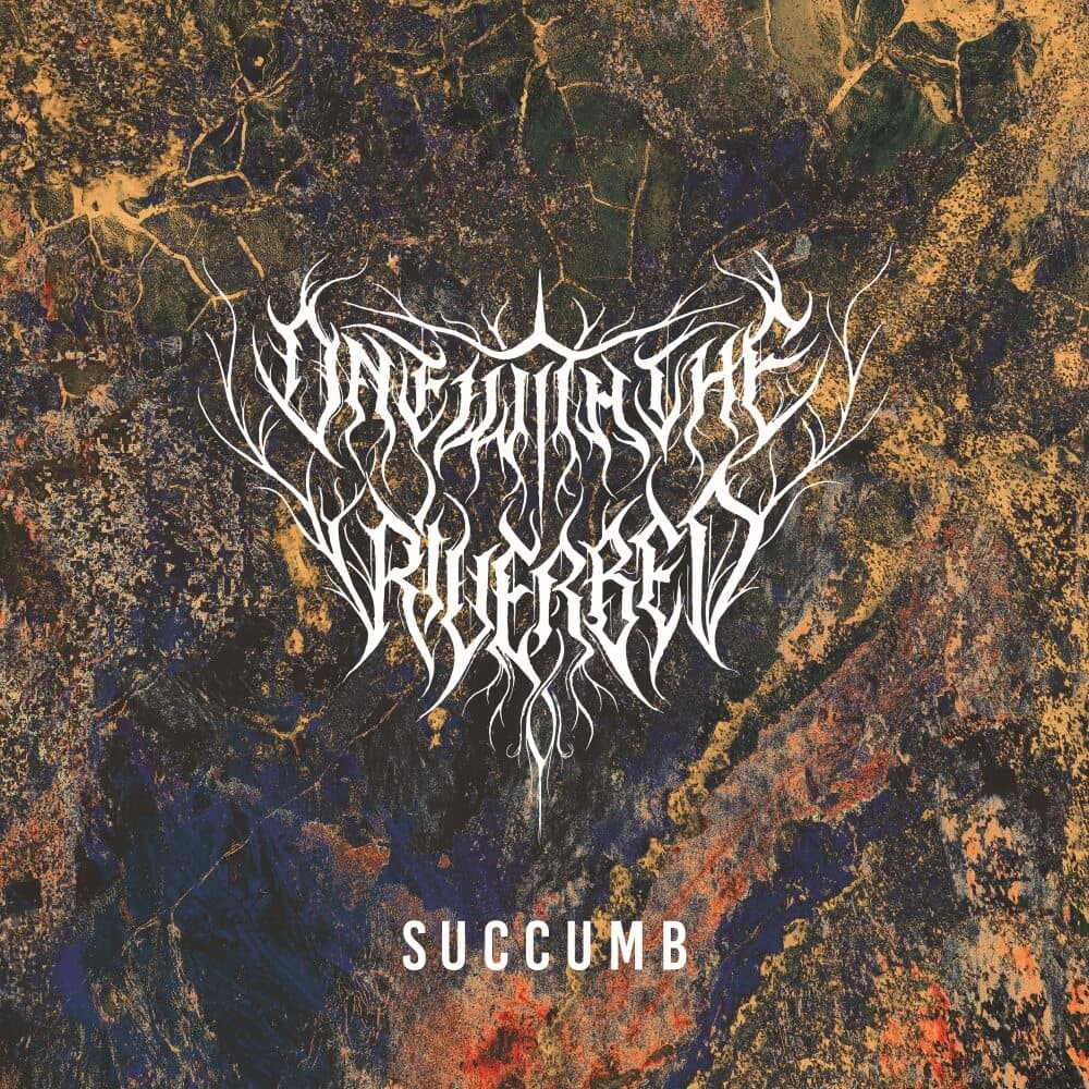 Succumb album cover